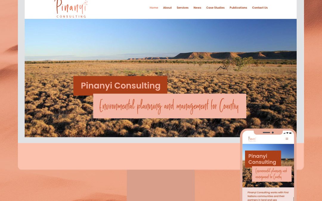 Pinanyi Consulting website